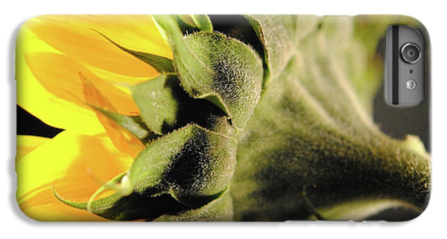 Sunflower Back - Phone Case