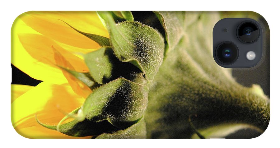 Sunflower Back - Phone Case