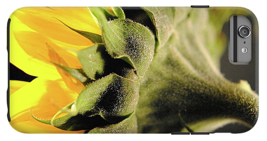 Sunflower Back - Phone Case