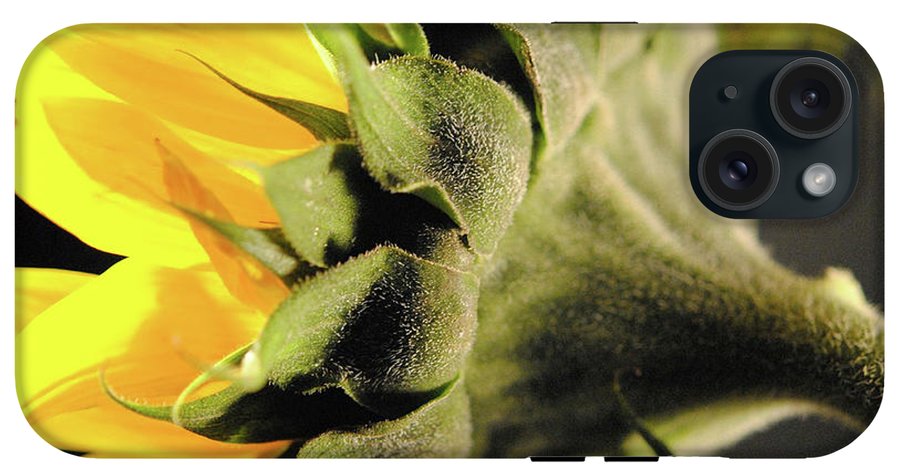 Sunflower Back - Phone Case