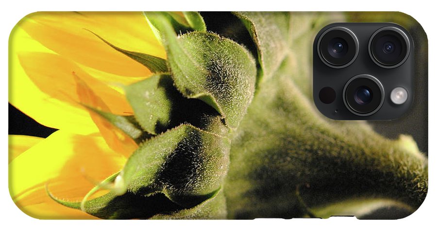 Sunflower Back - Phone Case