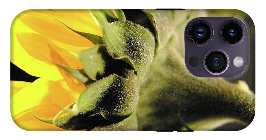 Sunflower Back - Phone Case