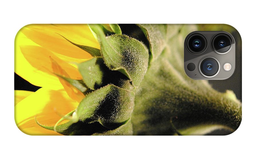 Sunflower Back - Phone Case