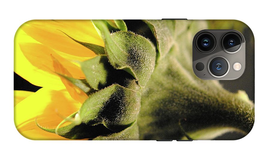 Sunflower Back - Phone Case