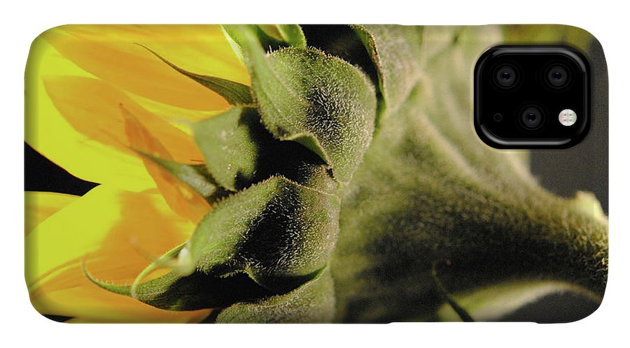Sunflower Back - Phone Case