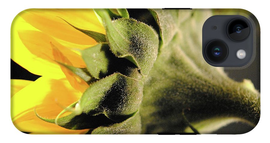 Sunflower Back - Phone Case