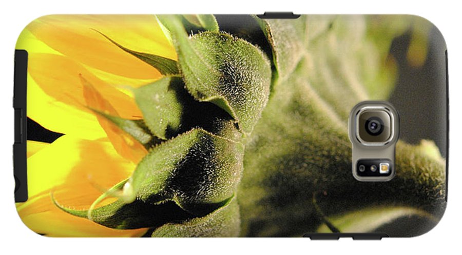 Sunflower Back - Phone Case