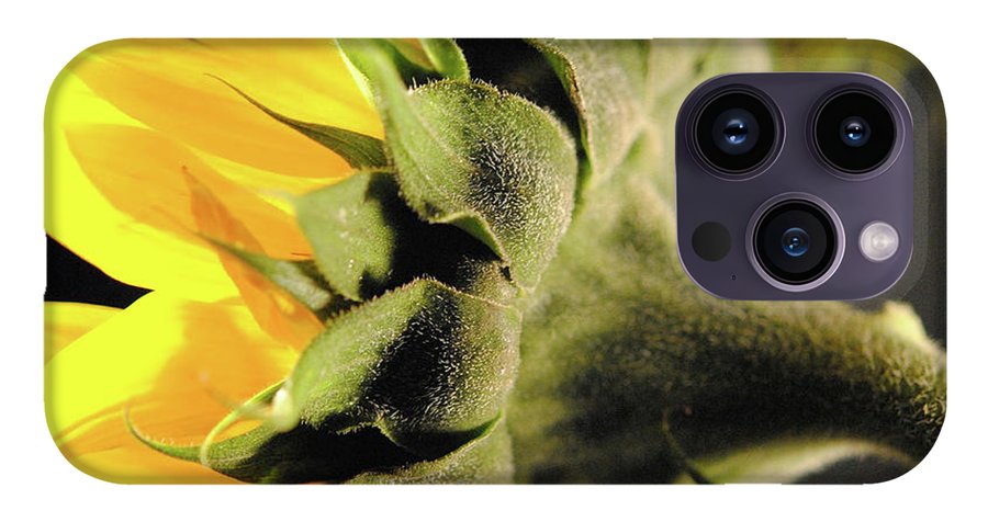 Sunflower Back - Phone Case