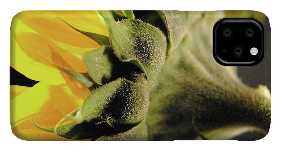 Sunflower Back - Phone Case