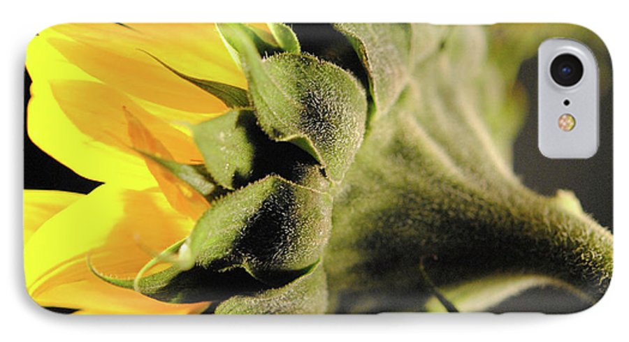 Sunflower Back - Phone Case