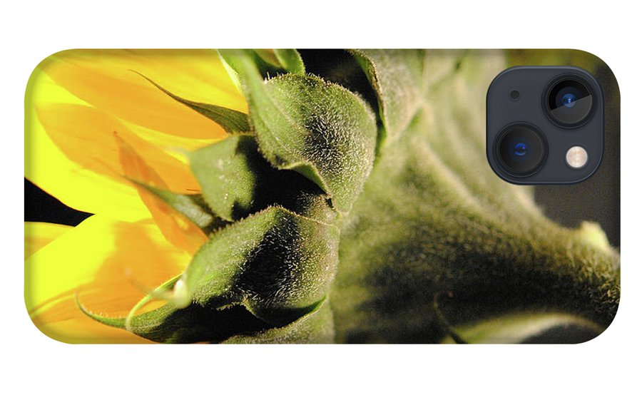 Sunflower Back - Phone Case