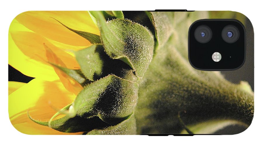 Sunflower Back - Phone Case