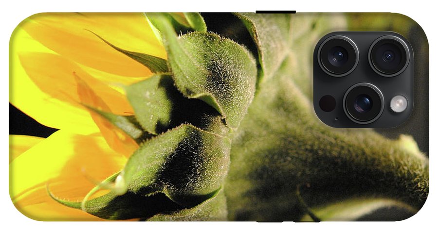 Sunflower Back - Phone Case