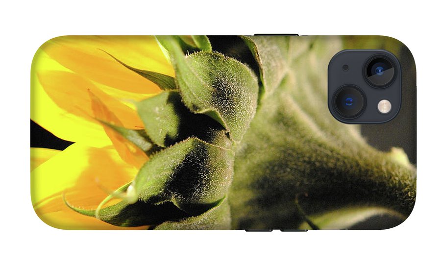 Sunflower Back - Phone Case