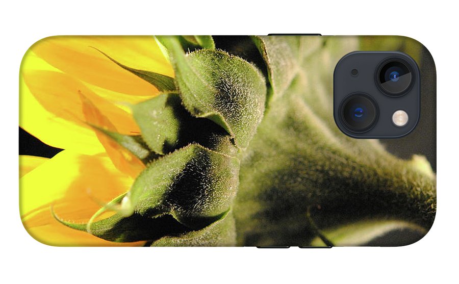 Sunflower Back - Phone Case