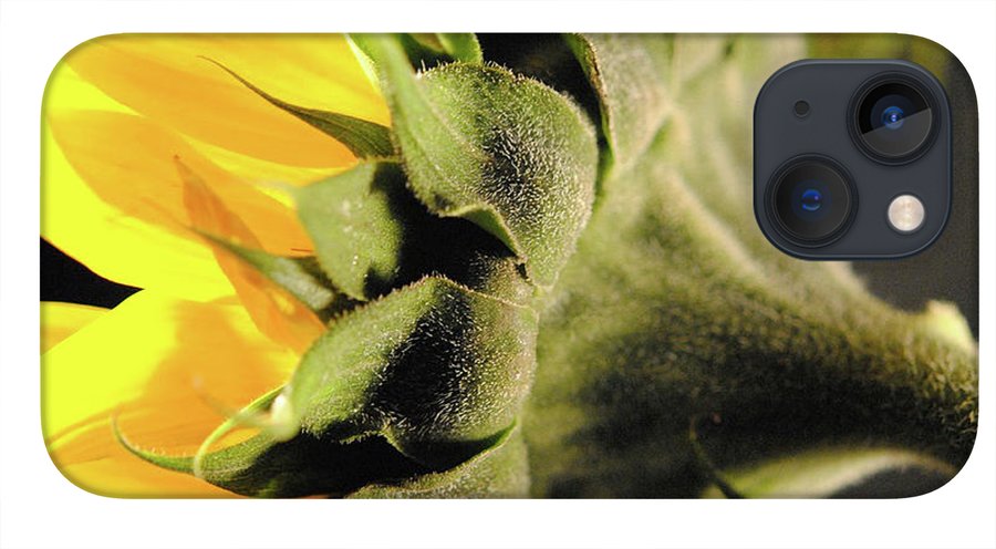 Sunflower Back - Phone Case
