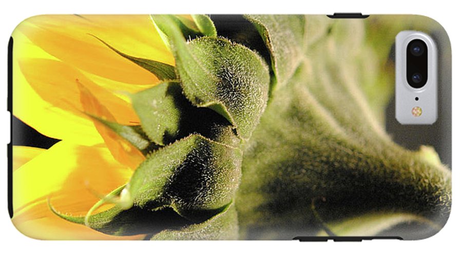Sunflower Back - Phone Case