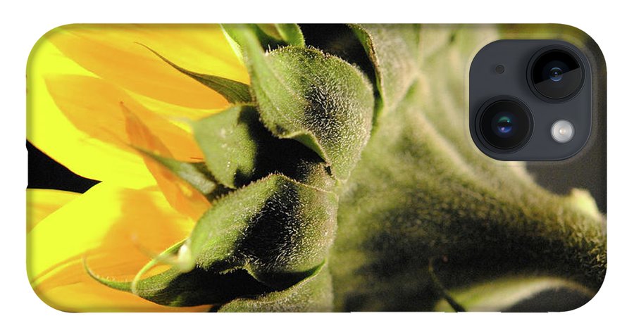 Sunflower Back - Phone Case