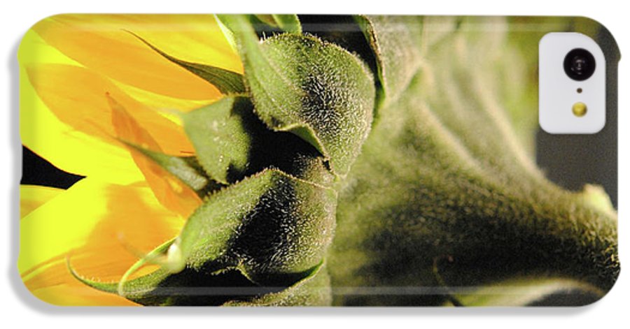 Sunflower Back - Phone Case