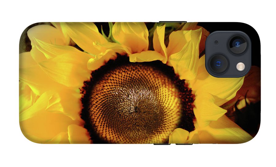 Sunflower Fades - Phone Case