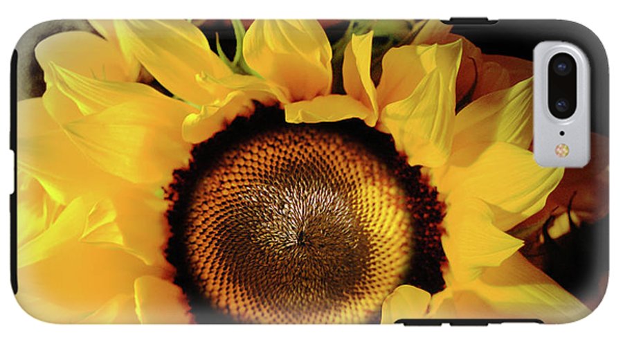 Sunflower Fades - Phone Case
