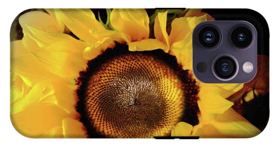 Sunflower Fades - Phone Case