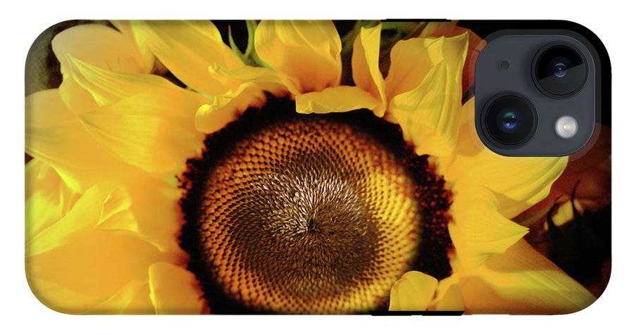 Sunflower Fades - Phone Case