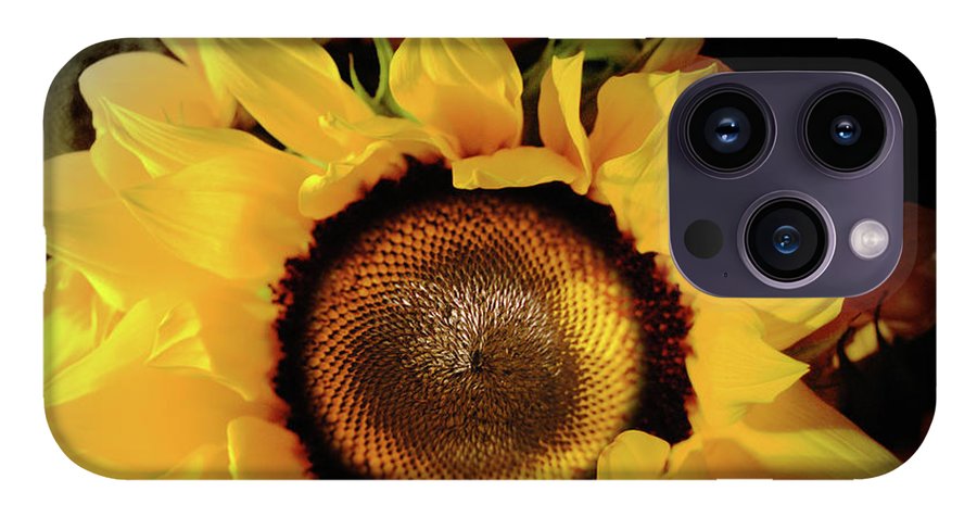 Sunflower Fades - Phone Case
