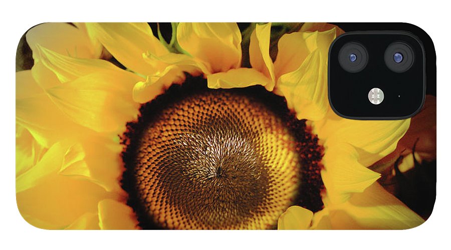 Sunflower Fades - Phone Case