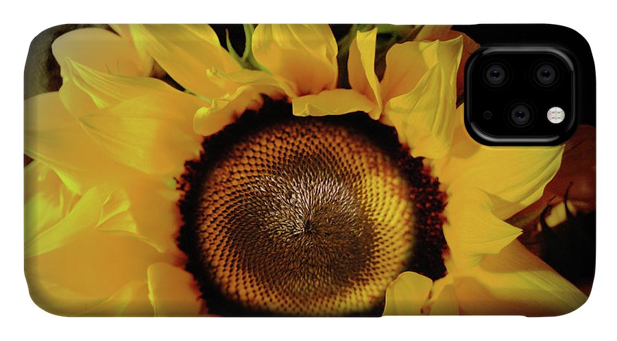 Sunflower Fades - Phone Case