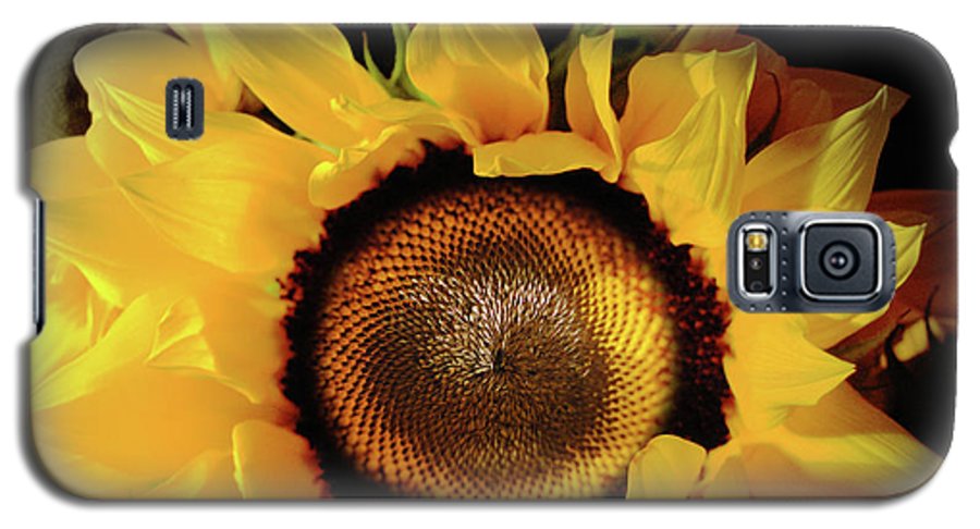 Sunflower Fades - Phone Case