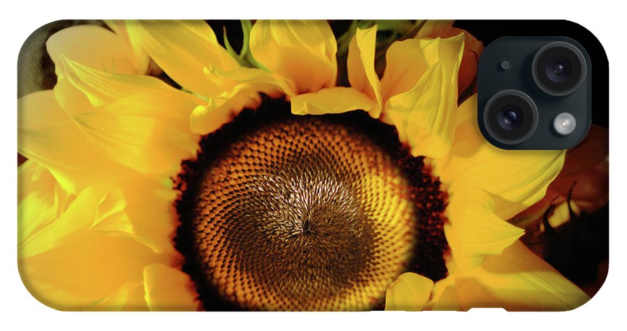 Sunflower Fades - Phone Case