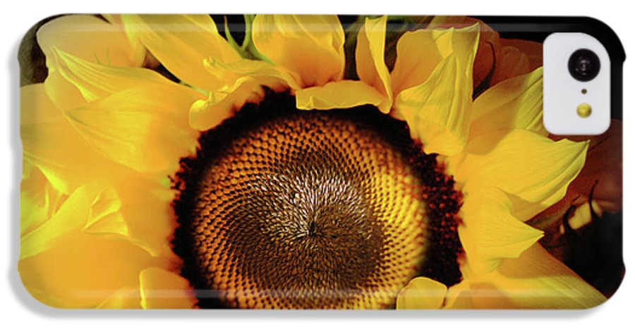 Sunflower Fades - Phone Case
