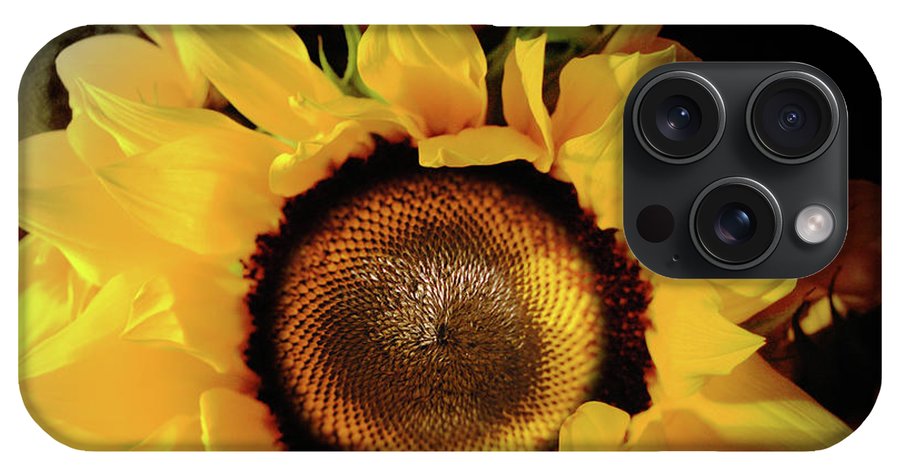 Sunflower Fades - Phone Case