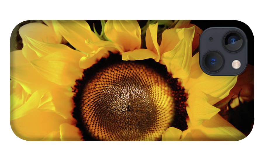 Sunflower Fades - Phone Case