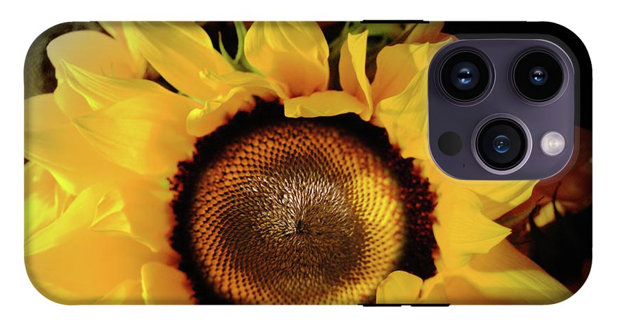 Sunflower Fades - Phone Case