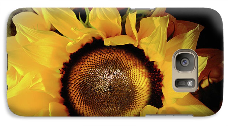 Sunflower Fades - Phone Case