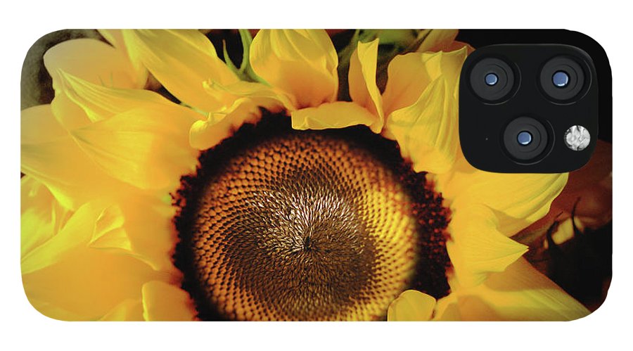 Sunflower Fades - Phone Case