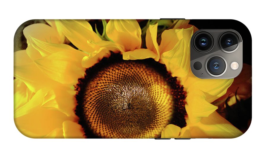 Sunflower Fades - Phone Case