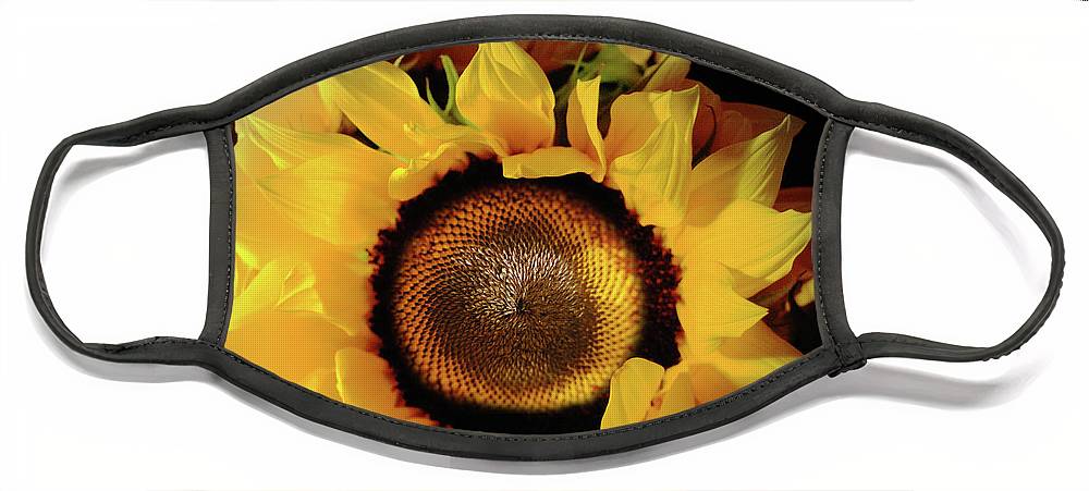 Sunflower Fades - Face Mask
