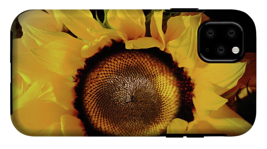 Sunflower Fades - Phone Case