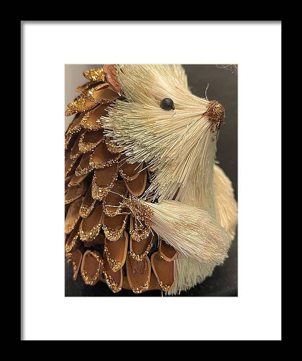 The Hedgehog Ornament - Framed Print