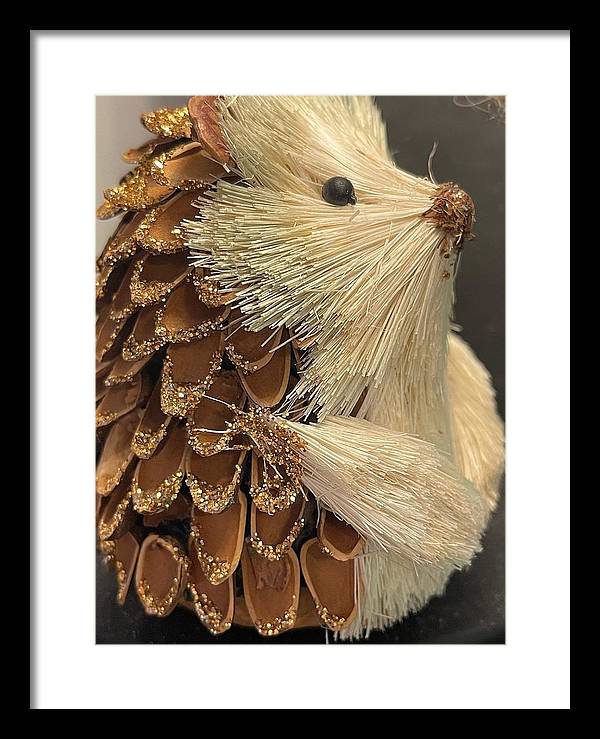 The Hedgehog Ornament - Framed Print