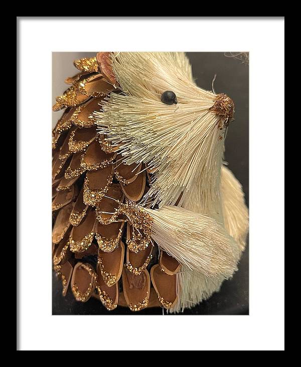 The Hedgehog Ornament - Framed Print