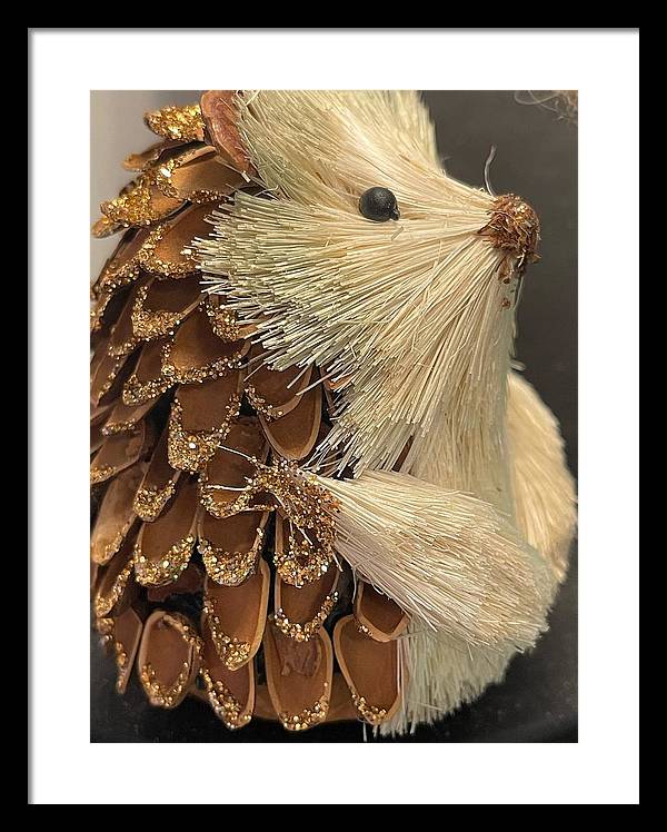The Hedgehog Ornament - Framed Print