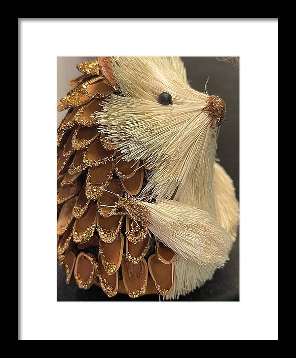 The Hedgehog Ornament - Framed Print
