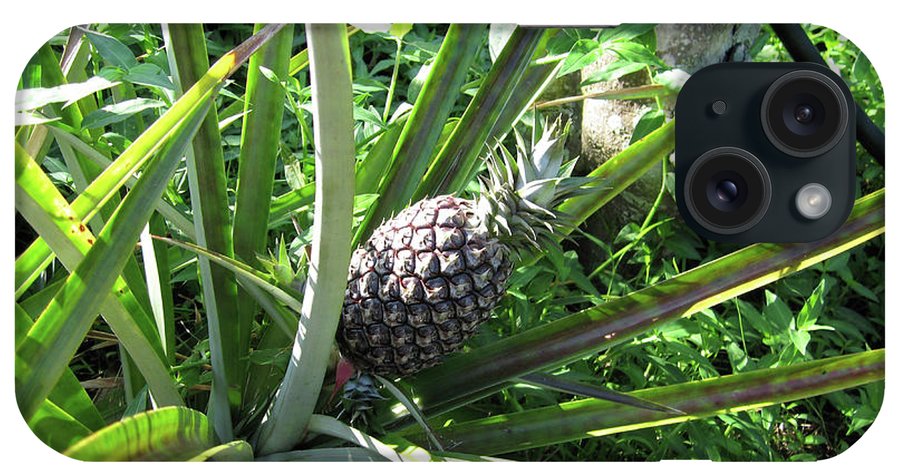 The Pineapple - Phone Case