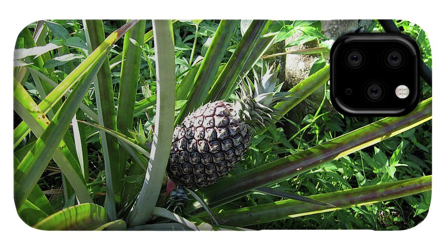 The Pineapple - Phone Case