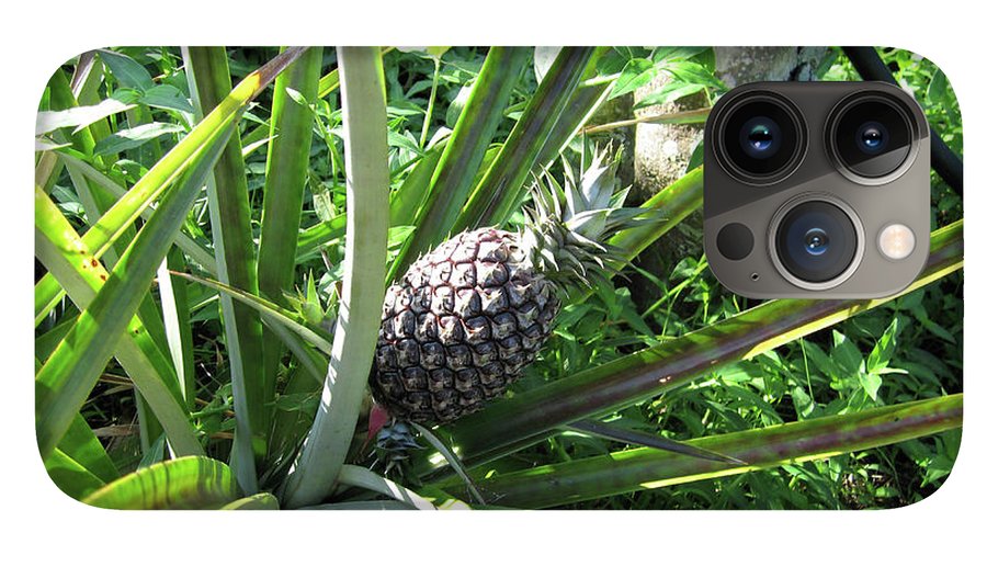 The Pineapple - Phone Case
