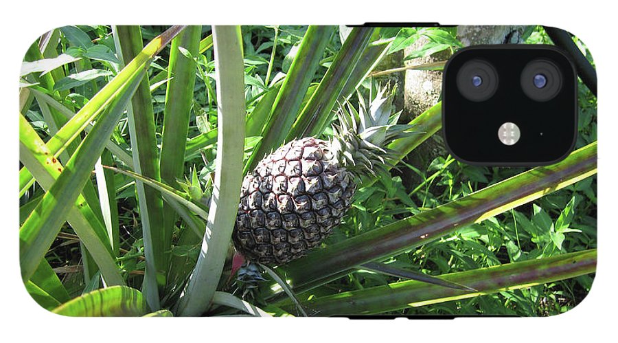 The Pineapple - Phone Case